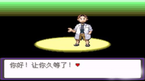 口袋妖怪漆黑的魅影游戏截图4