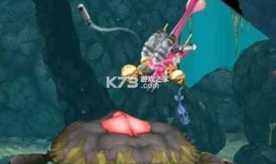 饥饿鲨进化 v11.5.0 破解版无限钻石金币免费下载 饥饿鲨进化 v11.5.0 破解版无限钻石金币免费下载