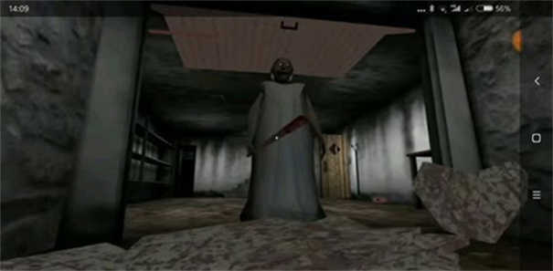 恐怖老奶奶3内置作弊菜单