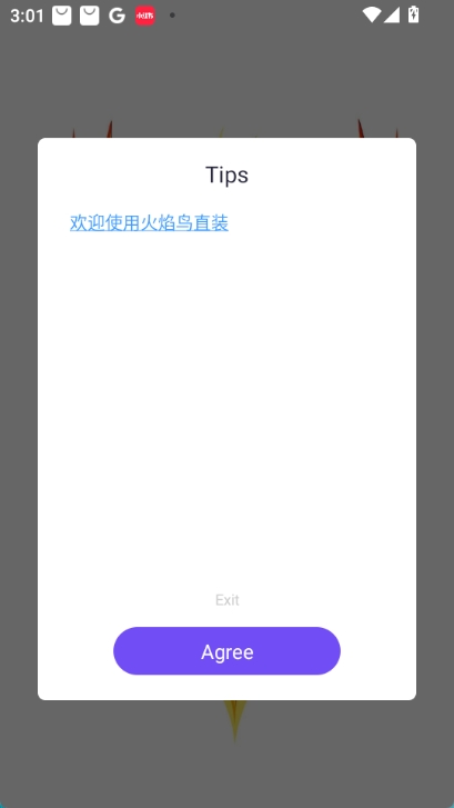 火焰鸟6.0直装科技