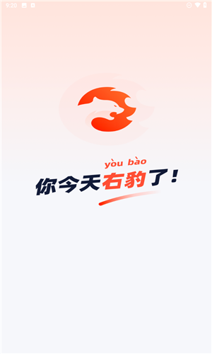 右豹app