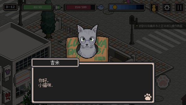 A Street Cat's Tale