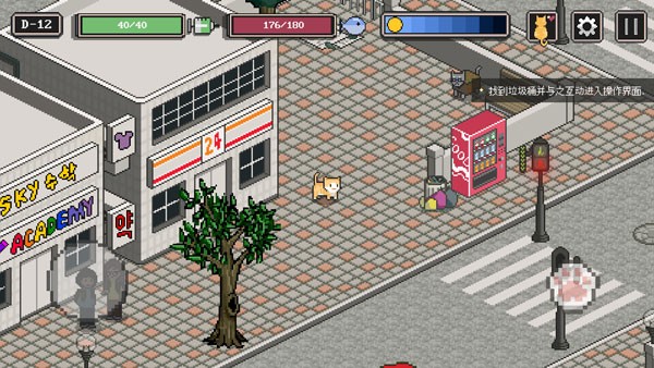 A Street Cat's Tale