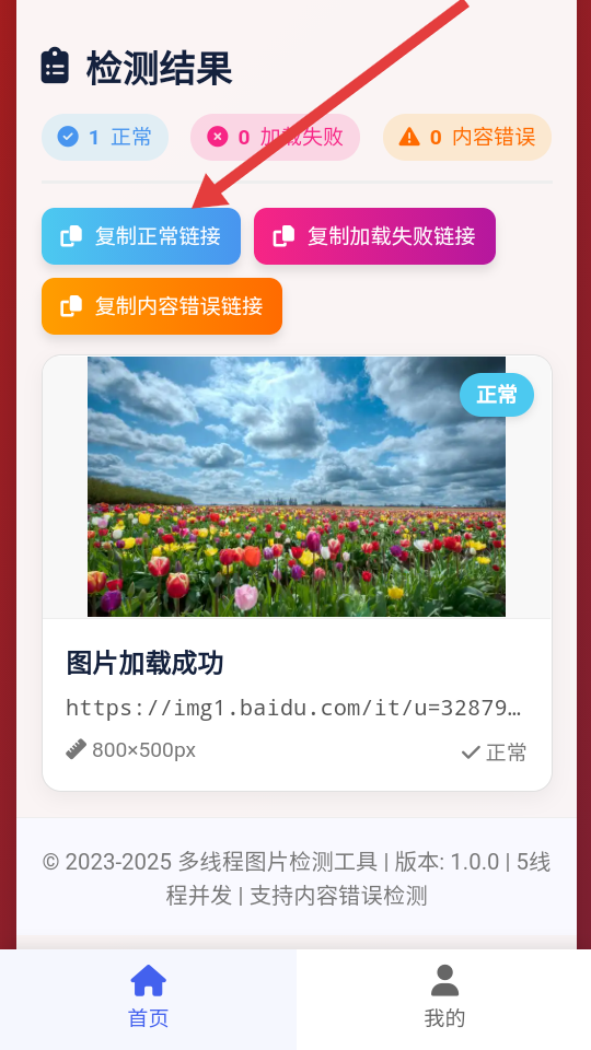 图片链接检测