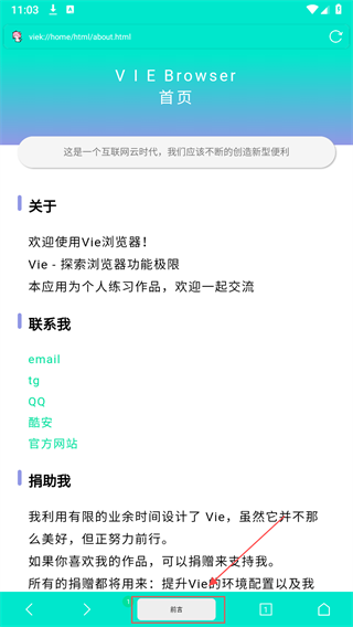Vie浏览器