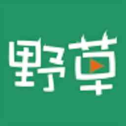 野草视频免费视频直播间