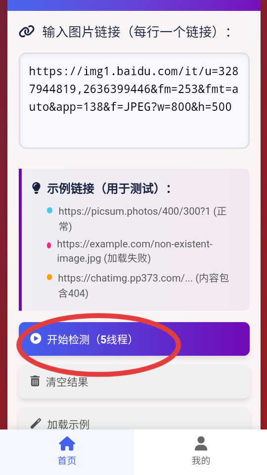 图片链接检测