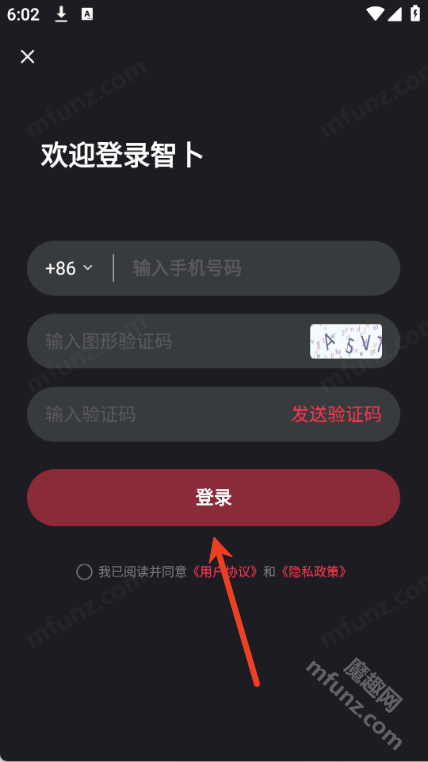 智卜