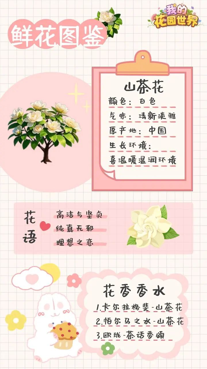 我的花园世界