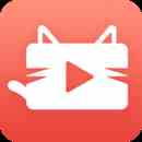 新版猫咪赚钱版
