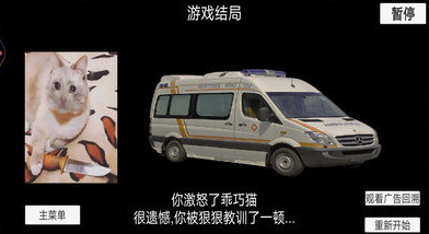 猫meme搞怪冒险