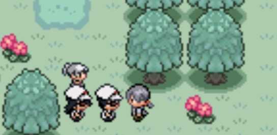 口袋妖怪无名汉化版作弊版(口袋妖怪无名作弊版)