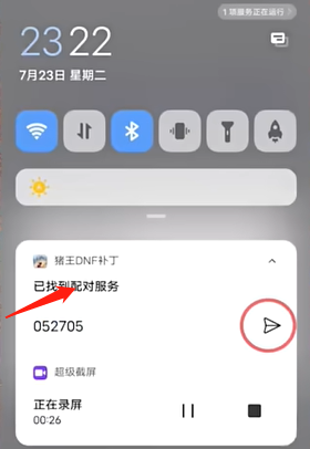 猪王dnf手游补丁