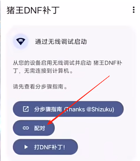 猪王dnf手游补丁