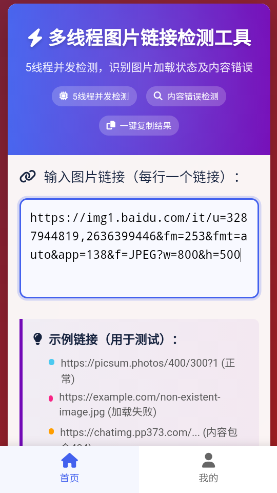 图片链接检测