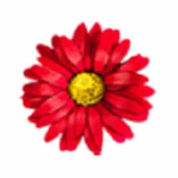 花蕊直播最新版