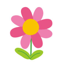 花花助手