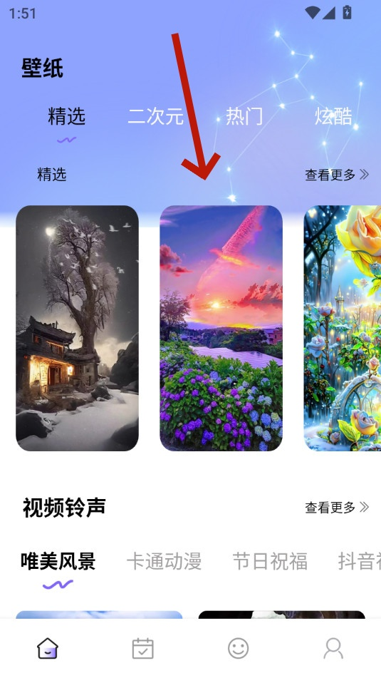 Quin壁纸