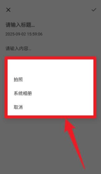 安果日记