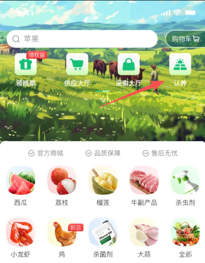 美丽牧场