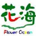 8701花海直播