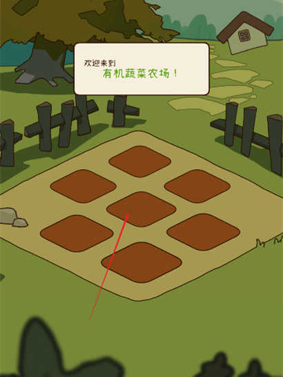 有机蔬菜农场