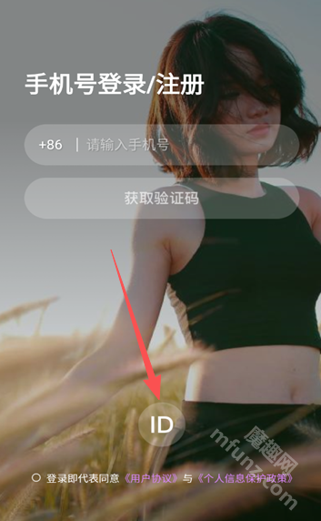 告白Live