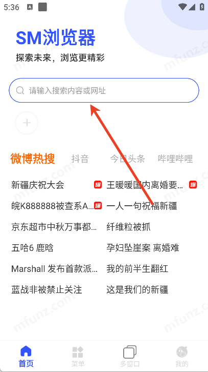 SM浏览器