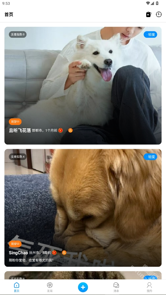 猫匿