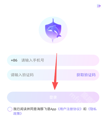 海豚飞语