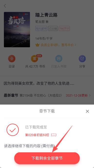 翻阅小说