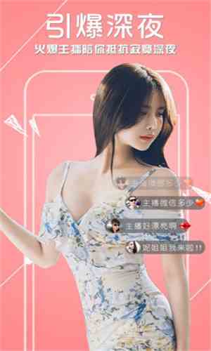 雏姬1