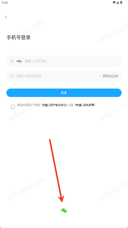 焦圈儿