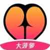 大菠萝app