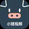小猪视频免费看