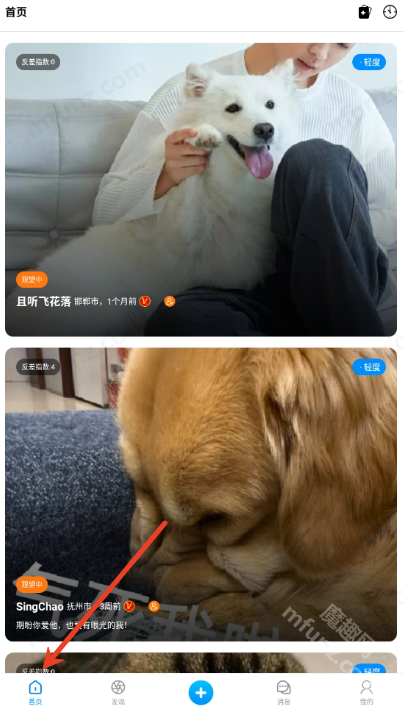 猫匿