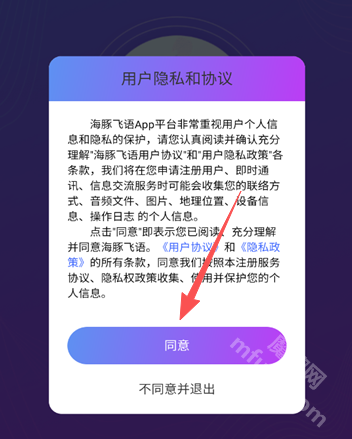 海豚飞语