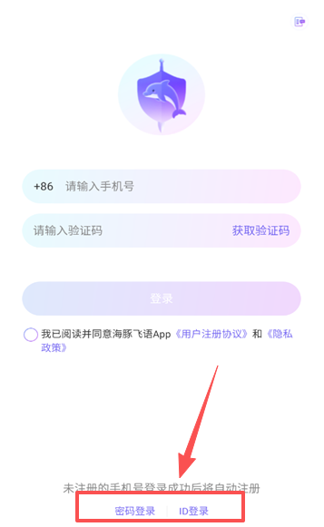海豚飞语