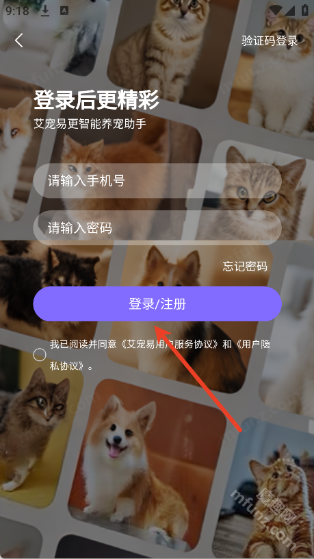艾宠易