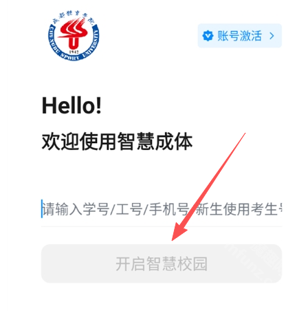 智慧成体