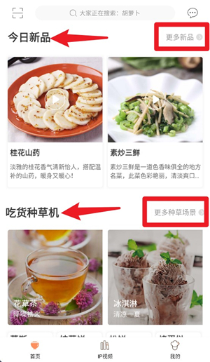 掌厨