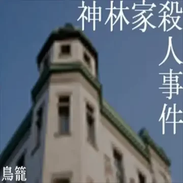 神林家杀人事件汉化版（Zeztz Driver）