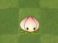 植物大战僵尸2(内购免费)破解版