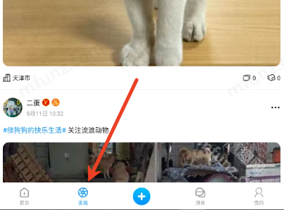 猫匿