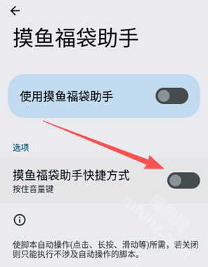 摸鱼福袋助手