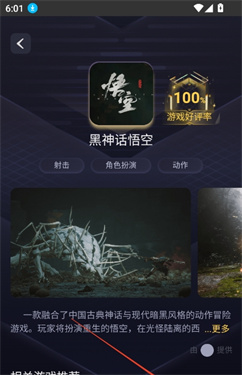 闪电云游戏