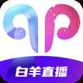 白羊直播平台