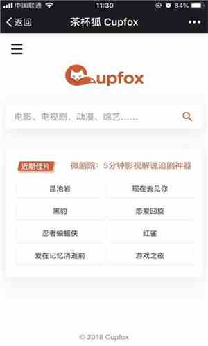 茶杯狐