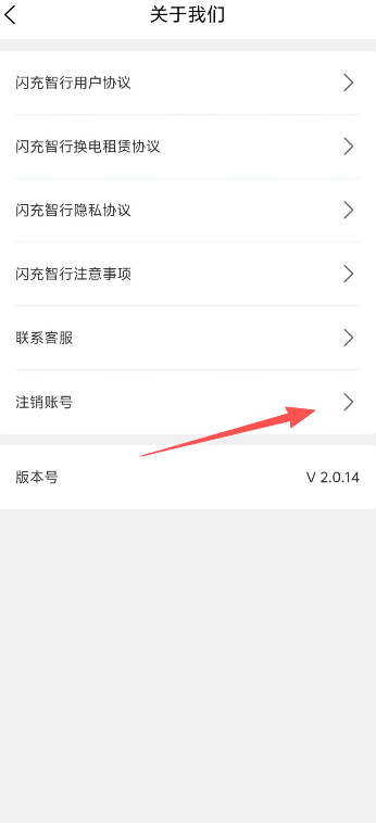 闪充智行