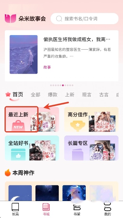 朵米小说